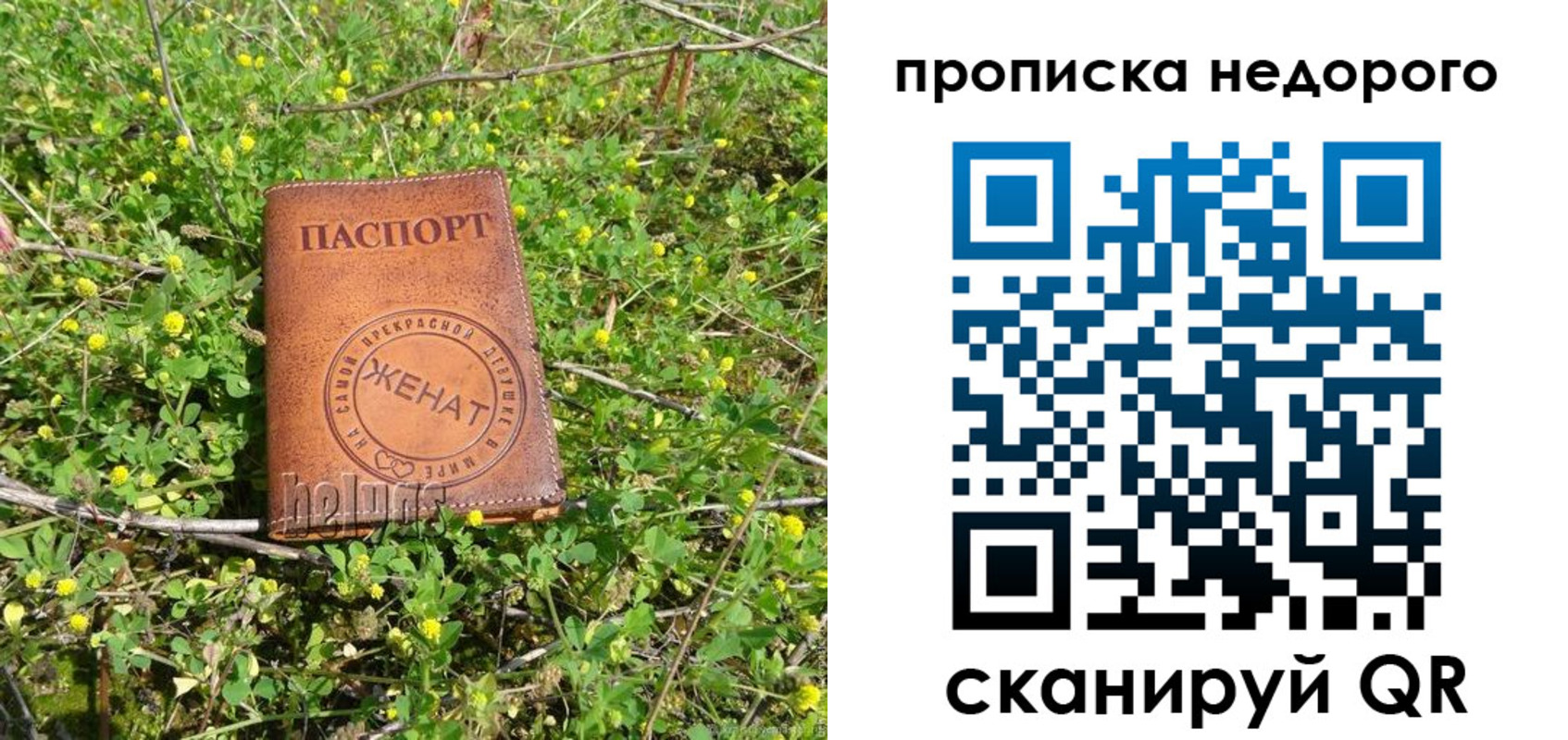 регистрация для дет. сада в Ейске